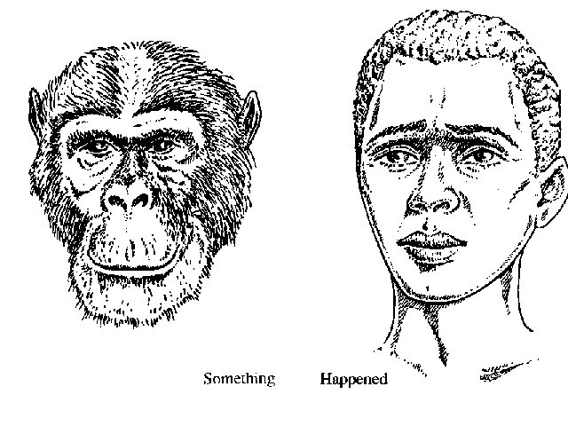 Something Happened: chimp and
human faces for comparison