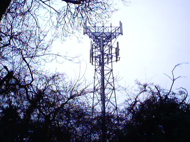 Weald Mast