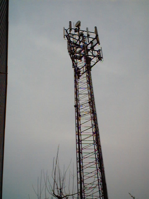 Tudor Road Mast